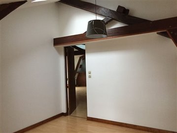13702588216