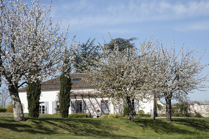 Image No.3-Maison de campagne de 4 chambres à vendre à Lot-et-Garonne