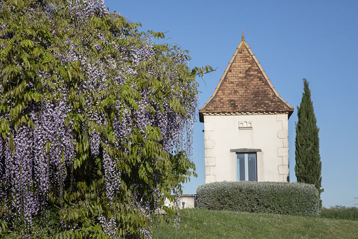 Image No.6-Maison de campagne de 4 chambres à vendre à Lot-et-Garonne
