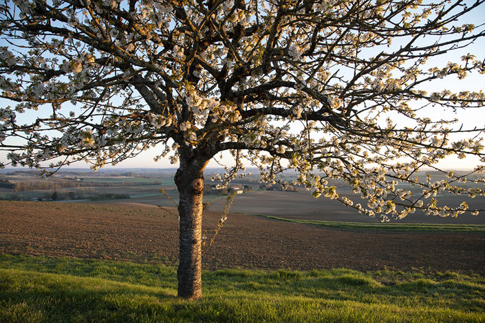 Image No.7-Maison de campagne de 4 chambres à vendre à Lot-et-Garonne