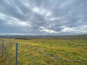 1 - Pellegrue, Property