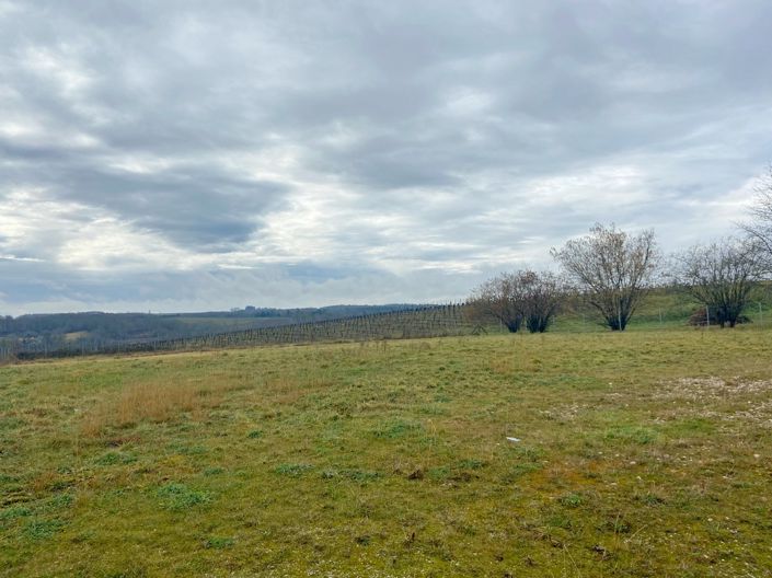 Image No.3-Plot for sale