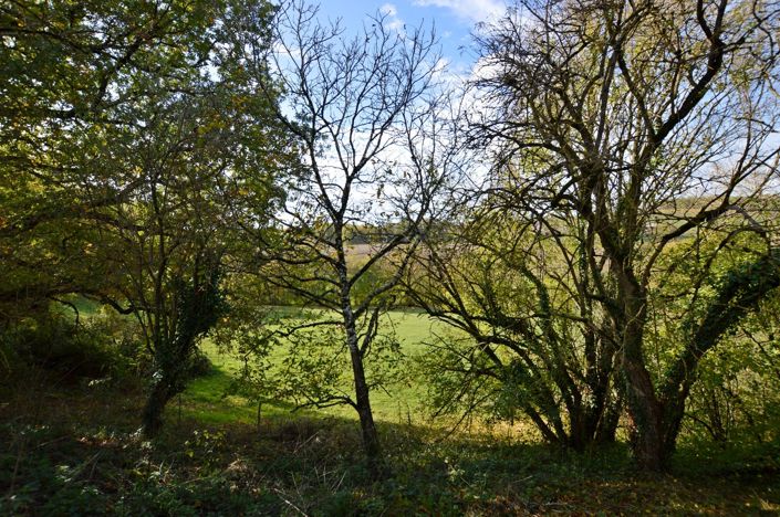 Image No.7-Grange à vendre à Duras