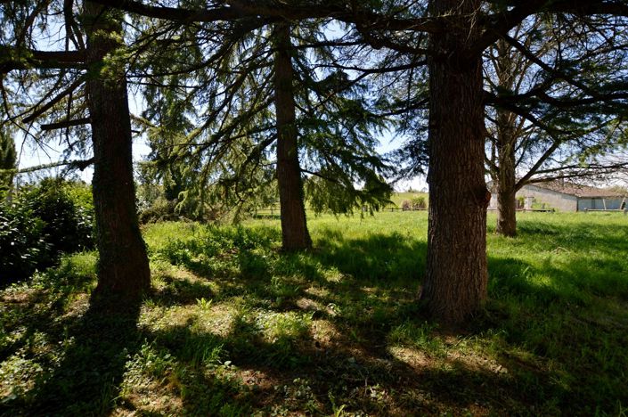 Image No.19-4 Bed Country House for sale