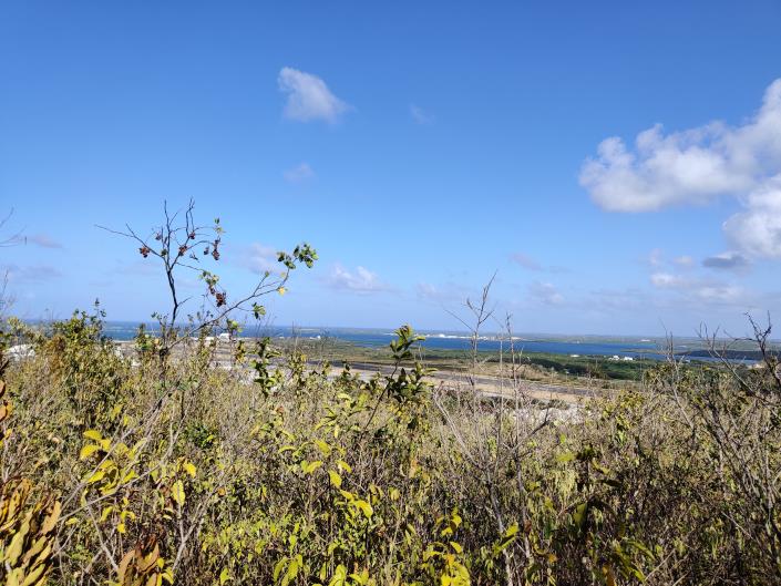 Image No.4-Terre à vendre à St Johns