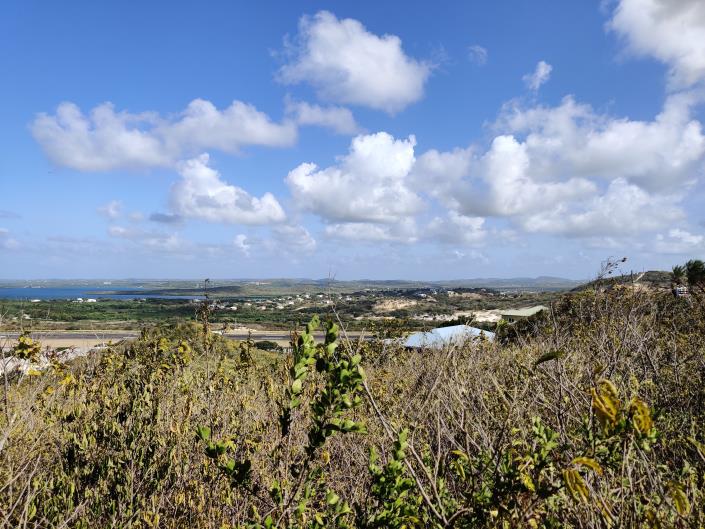 Image No.3-Terre à vendre à St Johns