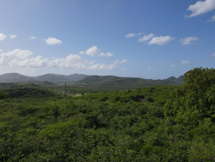 Image No.4-Terre à vendre à St Johns