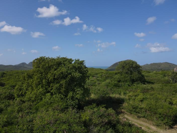 Image No.5-Terre à vendre à St Johns