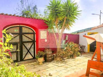 Terras-01--12-