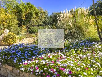 Terras-01--15-