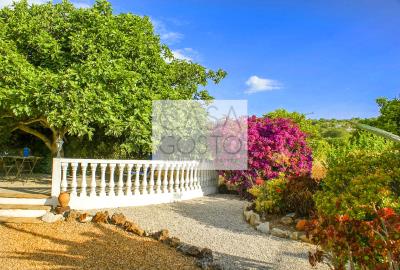 Terras-01--16-