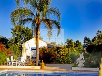 Terras-01--18-