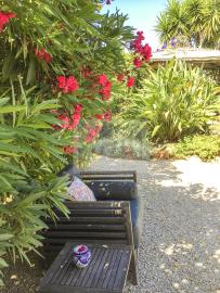 Terras-01--21-