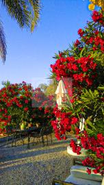 Terras-01--23-