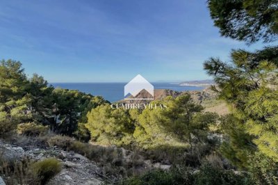 20250519120304000000img4082