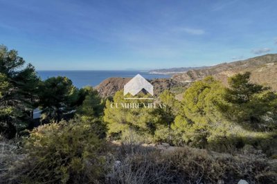 20250519120303000000img4084