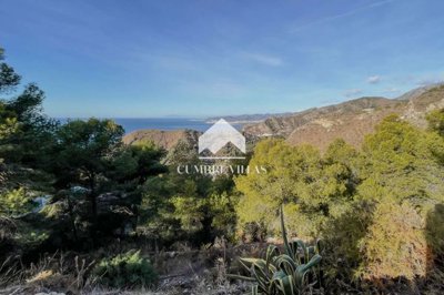 20250519120303000000img4086