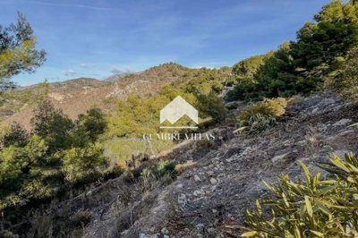 20250519120305000000img4089