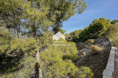 20250519120308000000img4090