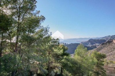 20250519120308000000image00027