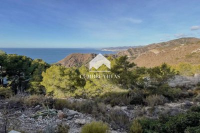 20250519120303000000img4081