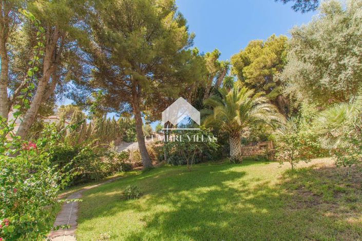 Image No.123-11 Bed Villa for sale