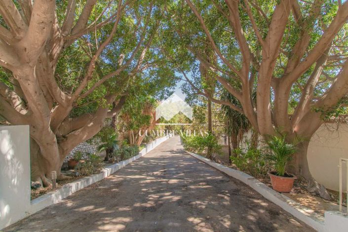 Image No.145-11 Bed Villa for sale