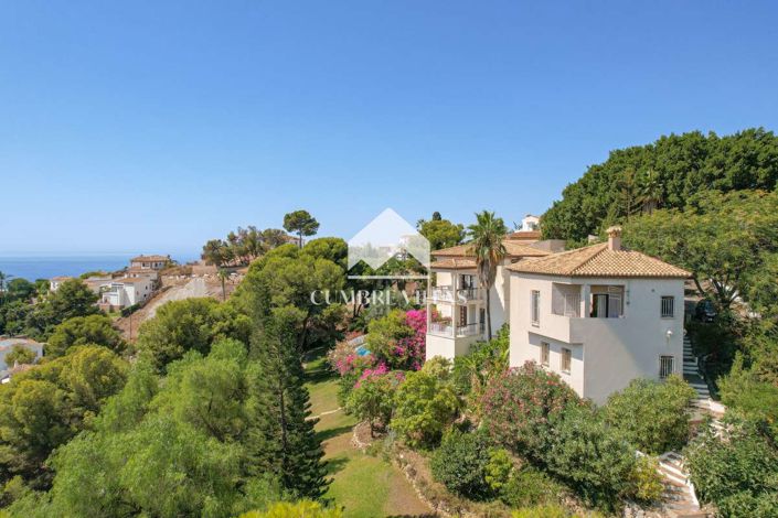 Image No.6-11 Bed Villa for sale