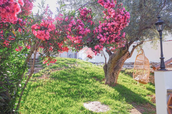 Image No.18-14 Bed Country House for sale