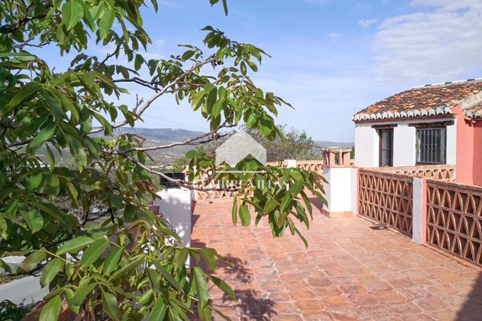 Image No.45-14 Bed Country House for sale