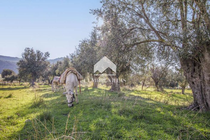 Image No.51-14 Bed Country House for sale