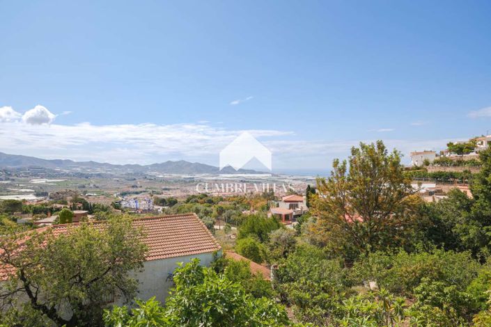 Image No.46-5 Bed Country House for sale