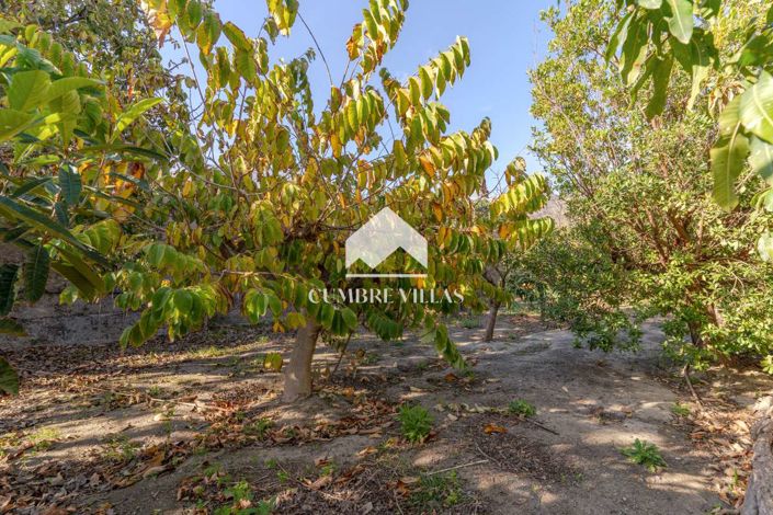 Image No.52-5 Bed Country House for sale