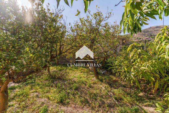 Image No.63-5 Bed Country House for sale