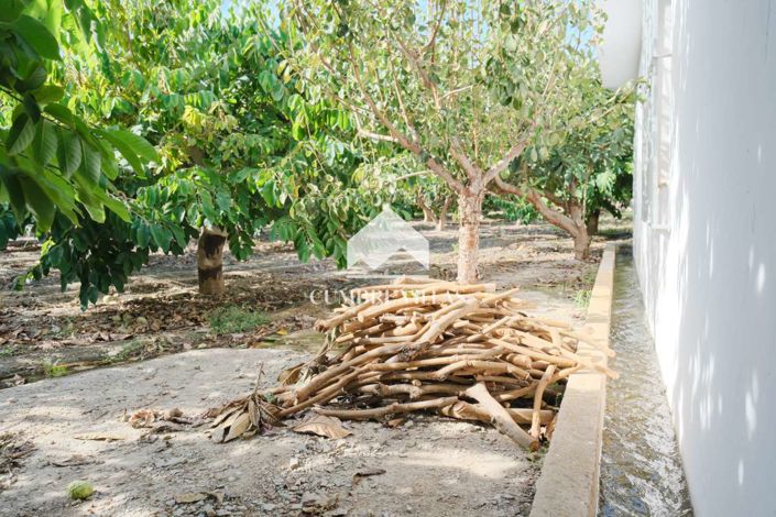 Image No.55-3 Bed Country House for sale