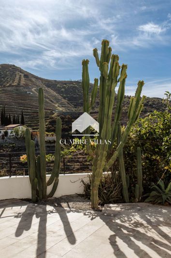 Image No.35-8 Bed Country House for sale