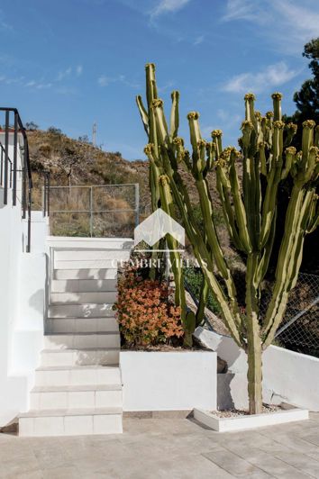 Image No.36-8 Bed Country House for sale