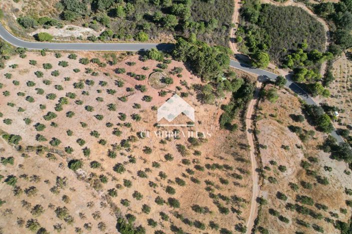 Image No.55-3 Bed Country House for sale
