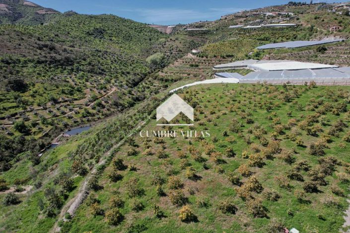 Image No.64-5 Bed Country House for sale