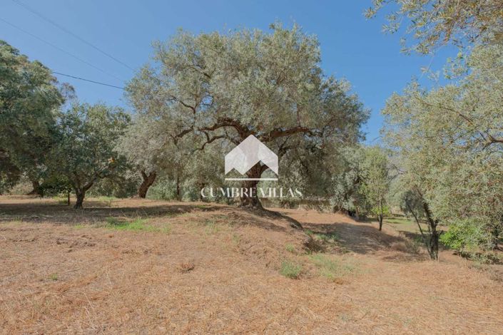 Image No.30-Maison de campagne de 6 chambres à vendre à Orgiva