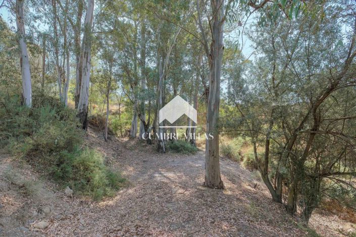 Image No.78-Maison de campagne de 6 chambres à vendre à Orgiva