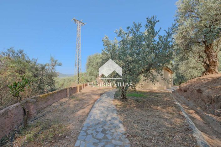 Image No.7-Maison de campagne de 6 chambres à vendre à Orgiva