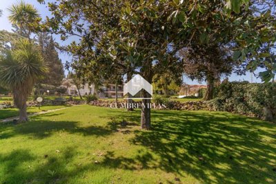 20260421154501000000dsa0344