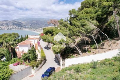 20241014105550000000image00074