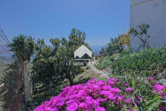 Image No.39-3 Bed Country House for sale