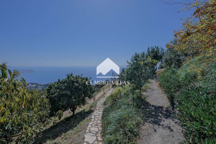 Image No.41-3 Bed Country House for sale