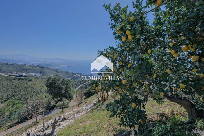 Image No.42-3 Bed Country House for sale