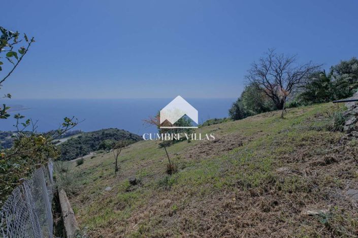 Image No.43-3 Bed Country House for sale