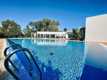 1654-656571-78d1f4f8b6655591b02d22fabb36a692d