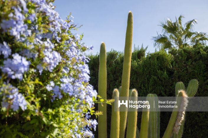 Image No.40-3 Bed Villa for sale